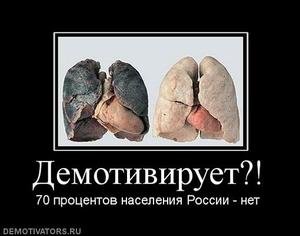 Как накачать косые мышцы